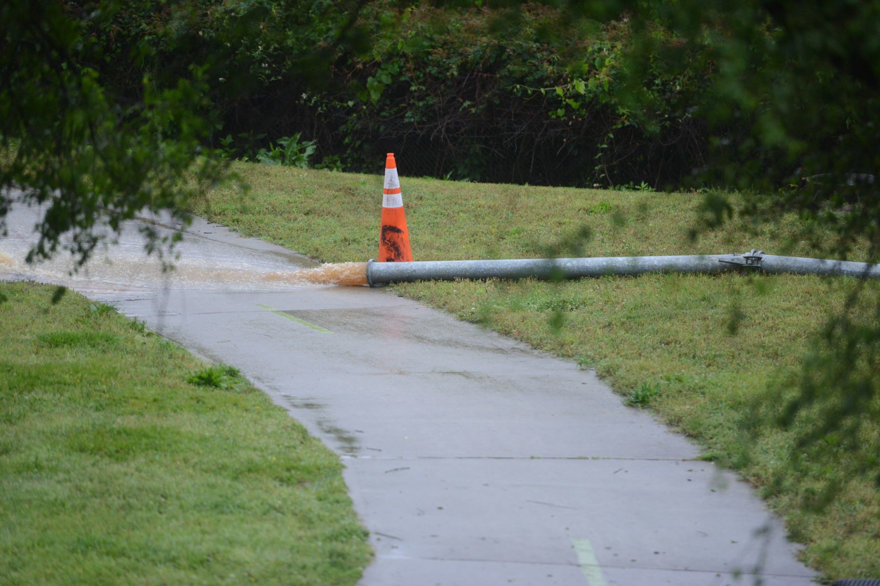 Flood 12.jpg